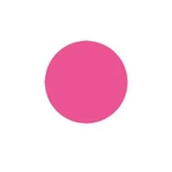 Blank 4" Circle Paper Label, Fluorescent Pink Thumbnail