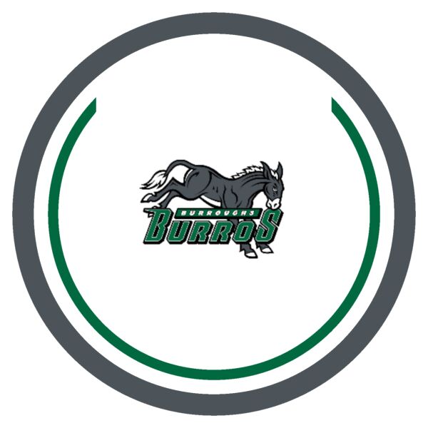 Sport Patch Desert Sky Burroughs League Logo Thumbnail