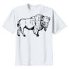 5000B - Youth Heavy Cotton™ 100% Cotton T-Shirt Thumbnail