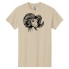 Heavy Cotton™ 100% Cotton T-Shirt Thumbnail