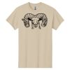 Heavy Cotton™ 100% Cotton T-Shirt Thumbnail