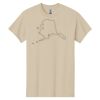 Heavy Cotton™ 100% Cotton T-Shirt Thumbnail