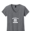 Ladies Heavy Cotton™ 100% Cotton V-Neck T-Shirt Thumbnail