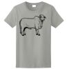 Ladies Ultra Cotton ® 100% Cotton T Shirt Thumbnail