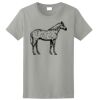 Ladies Ultra Cotton ® 100% Cotton T Shirt Thumbnail