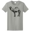 Ladies Ultra Cotton ® 100% Cotton T Shirt Thumbnail